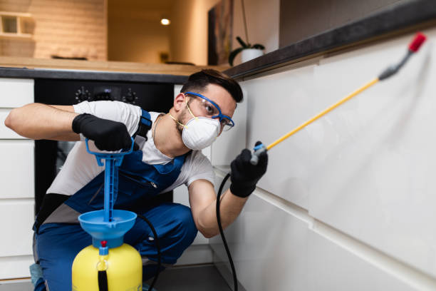 Best Pest Prevention Services  in Manhasset, NY