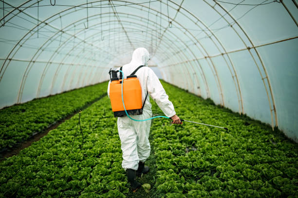 Reliable Manhasset, NY Pest Control Solutions