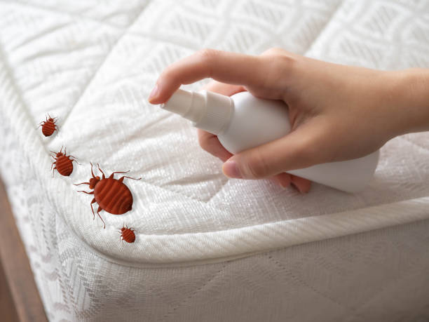 Best Pest Inspection Near Me  in Manhasset, NY