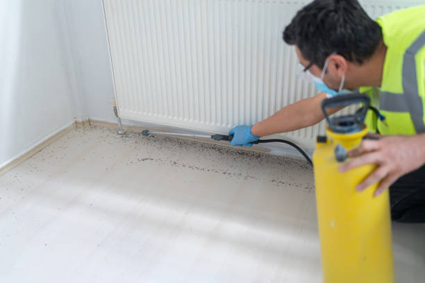 Best Best Pest Control Companies  in Manhasset, NY